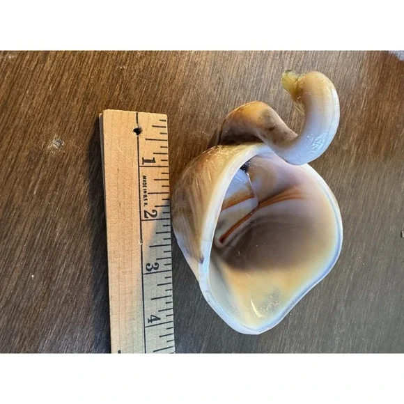 Vintage L.E. Smith Glass Caramel Slag Glass Swan Shaped Open Dish - Picture 5 of 5